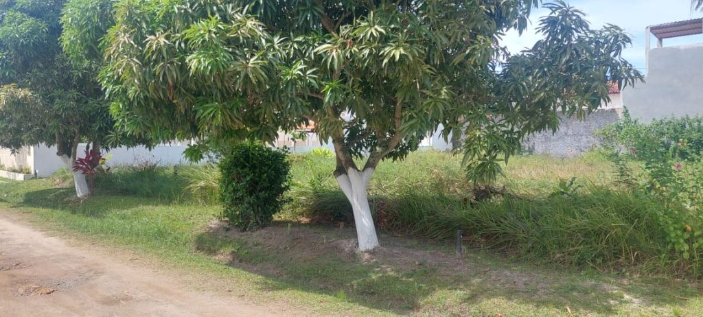 CONSTRUA NA PRAIA! TERRENO EXCLUSIVO | CONDOMÍNIO ENSEADA BARRA GRANDE (Barra Grande) – Vera Cruz de Itaparica
