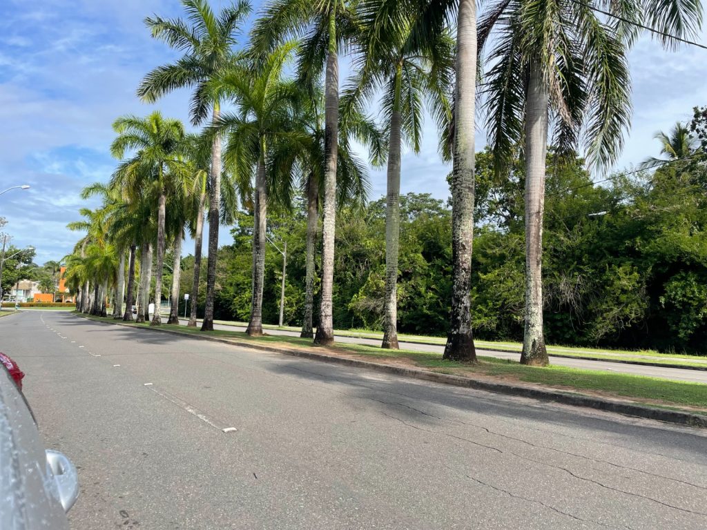 VIVA O MELHOR DE ABRANTES NO ALPHAVILLE DE ABRANTES – CONDOMÍNIO SOLAR DE IBIZA