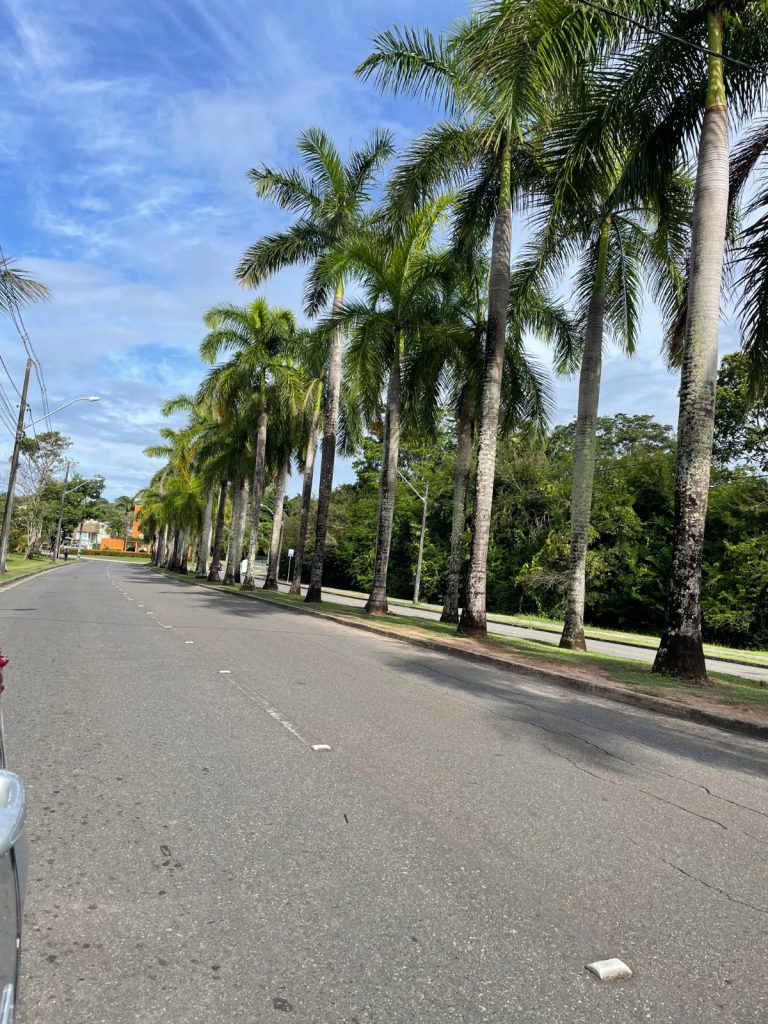 VIVA O MELHOR DE ABRANTES NO ALPHAVILLE DE ABRANTES – CONDOMÍNIO SOLAR DE IBIZA